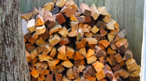 Log of wood pieces Stock Footage 38284015