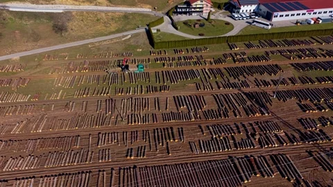 Log yard with machinery aerial Stock Footage 330044848