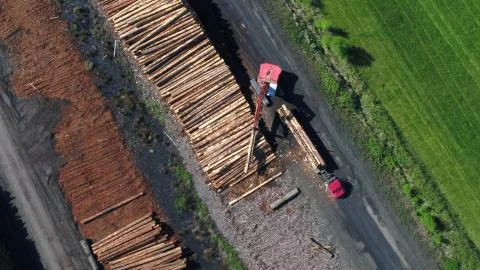 Log yard saw mill operation Stock Photos
