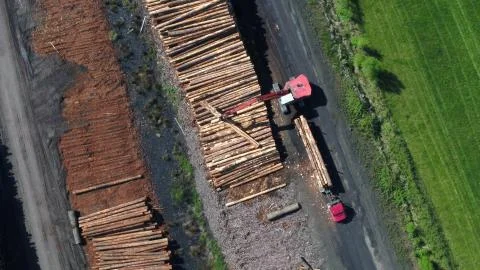 Log yard saw mill operation Stock Photos