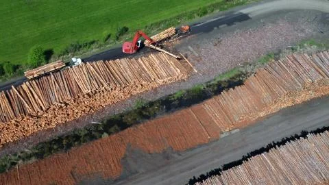 Log yard saw mill operation Stock Photos
