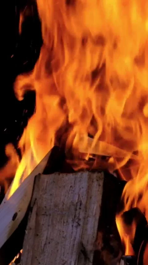 Logfire Stock Footage 303390237