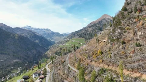 Logged forest in mountainous area. Deforestation in the middle of nature. Stock Footage 226993381