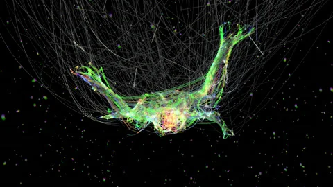 Logged into the network. Stock Footage 161895228