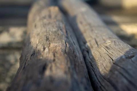 Logged trees next to each other and used in setting up temporary structures. Foto stock