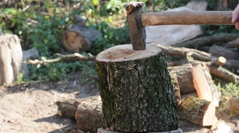 Logger Cutting Log with Axe Stock Footage 55320138