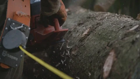 A logger is cutting tree branches with sawdust flying around 動画素材 92889321