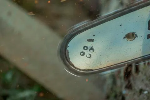 Logger cutting a tree trunk with a chainsaw. Stock Photos