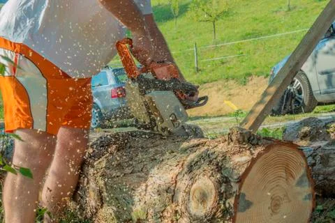 Logger cutting a tree trunk with a chainsaw. Stock Photos