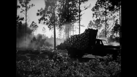 Logger Fighting With Wildfire In Forest To Save His Loaded Truck Stock Footage 107811516