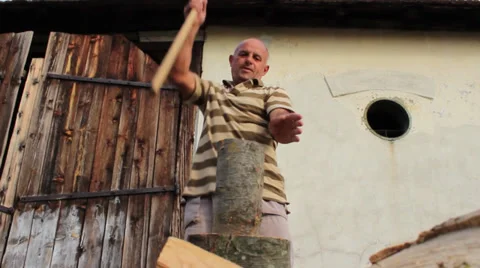 Logger Stock Footage 31402573