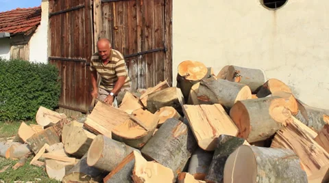 Logger Stock Footage 31414780