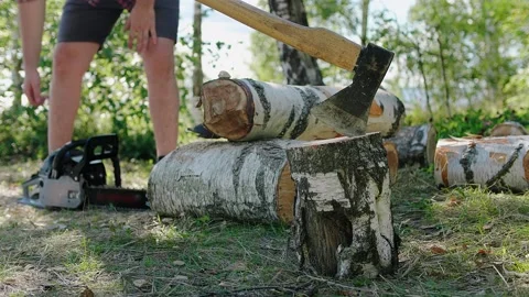 A logger gets to work, launch the chainsaw engine and pick up it from the ground Stock Footage 148131295