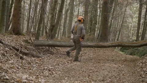 Logger is going to cut down a tree that's in the way Stockbeeldmateriaal 92890498