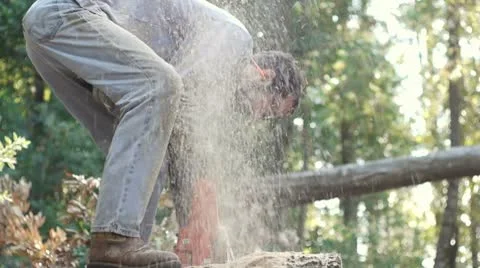 Logger sawing tree 02 Stock Footage 8960024