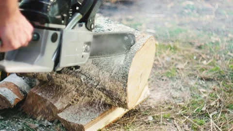 A logger saws a log with a chainsaw. Shavings fly in all directions Stock Footage 145745662