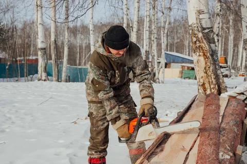 A logger saws a tree in the forest in winter, in Russia for firewood Stock Photos