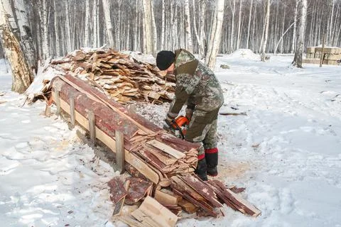 A logger saws a tree in the forest in winter, in Russia for firewood Stock Photos