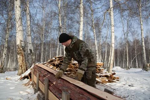 A logger saws a tree in the forest in winter, in Russia for firewood Foto stock