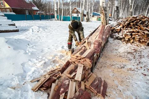 A logger saws a tree in the forest in winter, in Russia for firewood Stock Photos