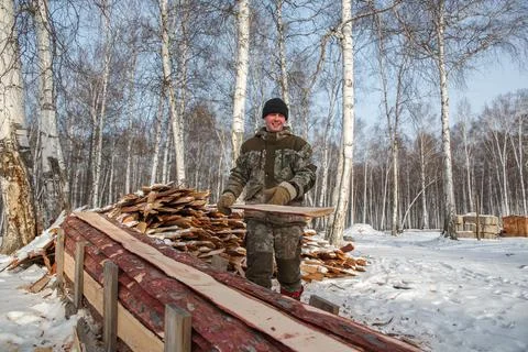 A logger saws a tree in the forest in winter, in Russia for firewood Stock Photos