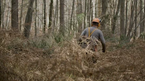 A logger is walking trough a forest Vídeo Stock 92889745