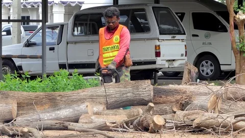 Logger worker sawing mummified tree Vídeos de archivo 79734353