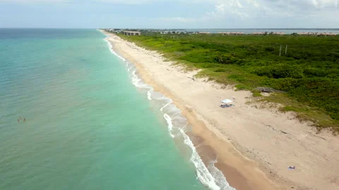 Loggerhead nesting season turtle tracks on the beach sand Jensen Hutchinson.. Stock Footage 244553068