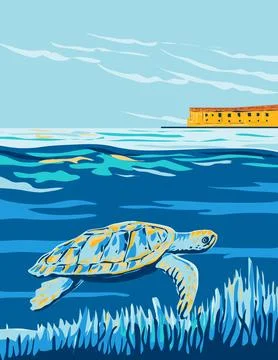 Loggerhead Sea Turtle in Dry Tortugas National Park in Florida WPA Poster Art Stock Illustration