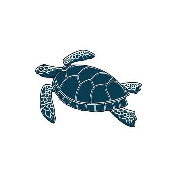 Loggerhead sea turtle isolated marine animal Stock Illustration