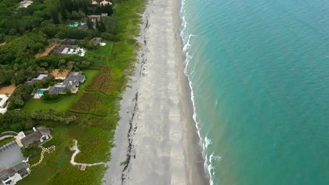 Loggerhead turtle nesting season on Jupiter Island Beach FL Stock Footage 244550275