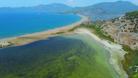 Loggerhead turtle spawning site Iztuzu Beach. Turkey. 스톡 동영상 252599163
