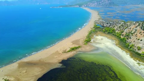 Loggerhead turtle spawning site Iztuzu Beach. Turkey. 库存影片 252599622