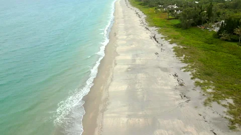 Loggerhead turtle tracks on the beach Stock Footage 244550345