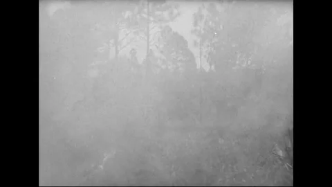 Loggers Attempting To Save Their Fully Loaded Truck From Wildfire Stock Footage 107808997