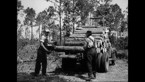Loggers Loading Tree Trunks Onto Truck For Transportation Vídeos de archivo 107823022