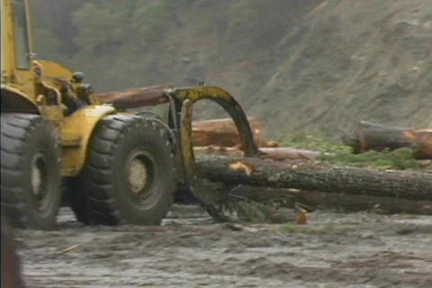 Logging 01 Stock Footage 492022