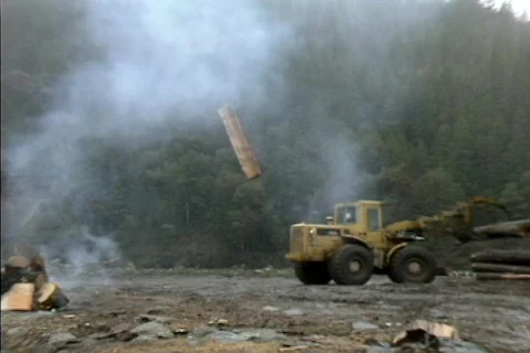 Logging 02 Stock Footage 492021