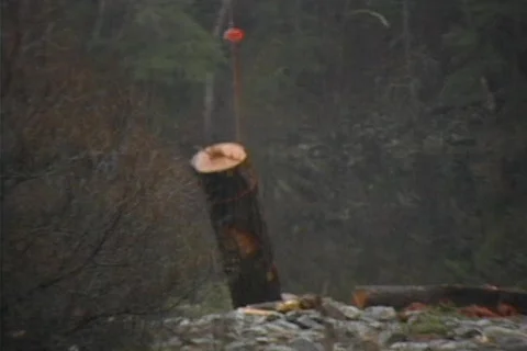 Logging 08 Stock Footage 492031