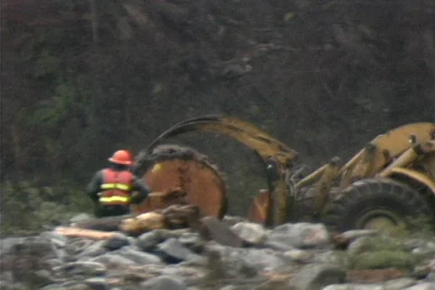 Logging 09 Stock Footage 492030