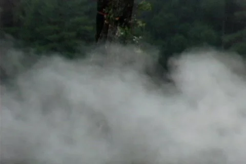 Logging 10 Stock Footage 492035