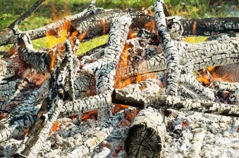 Logging and fire Stock Photos