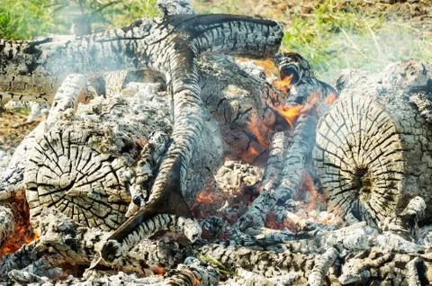 Logging and fire Stock Photos