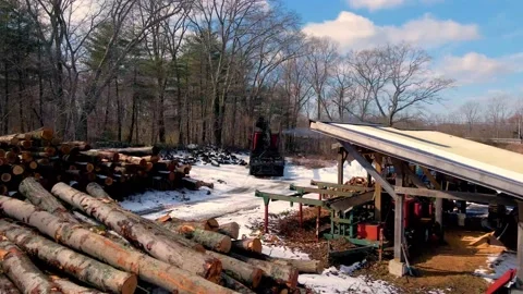 Logging and Firewood (4k) Video stock 168330766