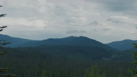 Logging Clear Cut Day Viewed From Mt Hood - Long Lens Stock-Footage 232157670