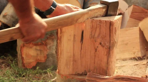 Logging Close-Up Stock Footage 31403778