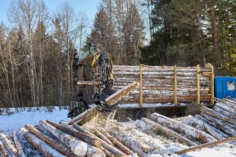 Logging company uses self loading truck to load and transport logs. Stock Photos