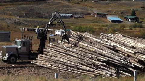 Logging crane Stock Footage 42310009