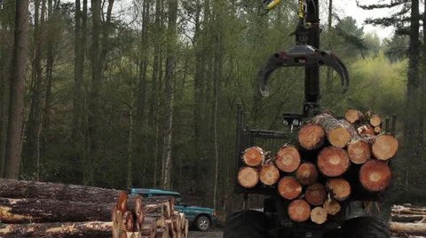 Logging crane : Log Loaders : Forwarder Stock Footage 33604200