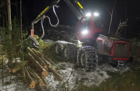 Logging in the dark. Stock Photos
